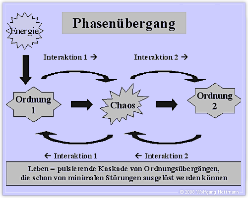 Abb. 2 Phasenübergänge (Wolfgang Hoffmann)