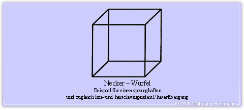 Abb. 4 Illustration des Necker Würfels (Wolfgang Hoffmann)
